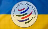 Вступив в ВТО, Украина переходит Рубикон интеграции в глобальное экономическое сообщество