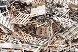 Новый закон по переработке древесной биомассы