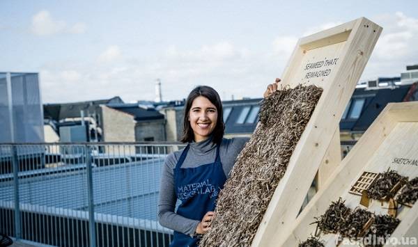 В Дании разработали изоляционные панели из морских водорослей