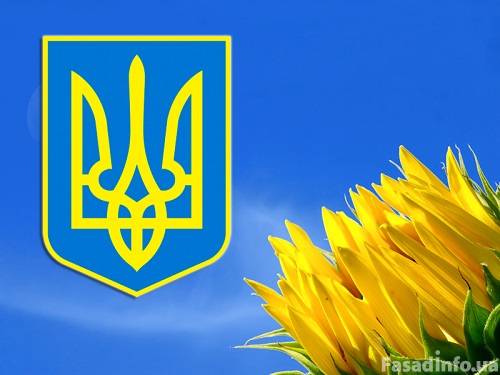 Поздравляем с Днем Конституции