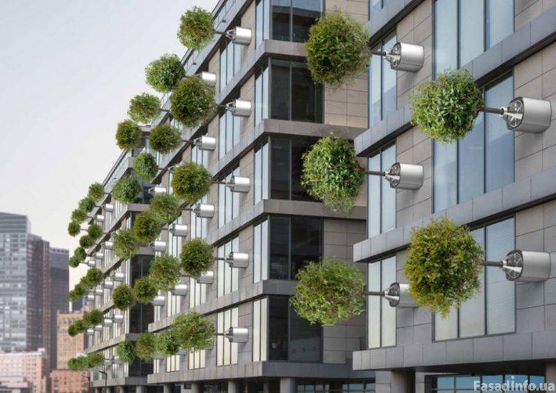 Новинка: живые деревья, фиксируемые на фасадах зданий