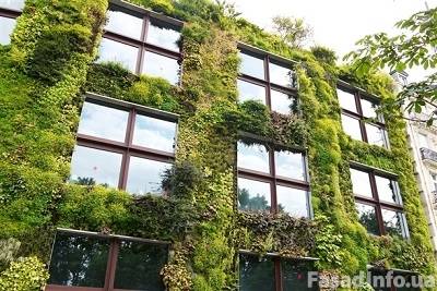 Париж преобразится благодаря закону об озеленении фасадов